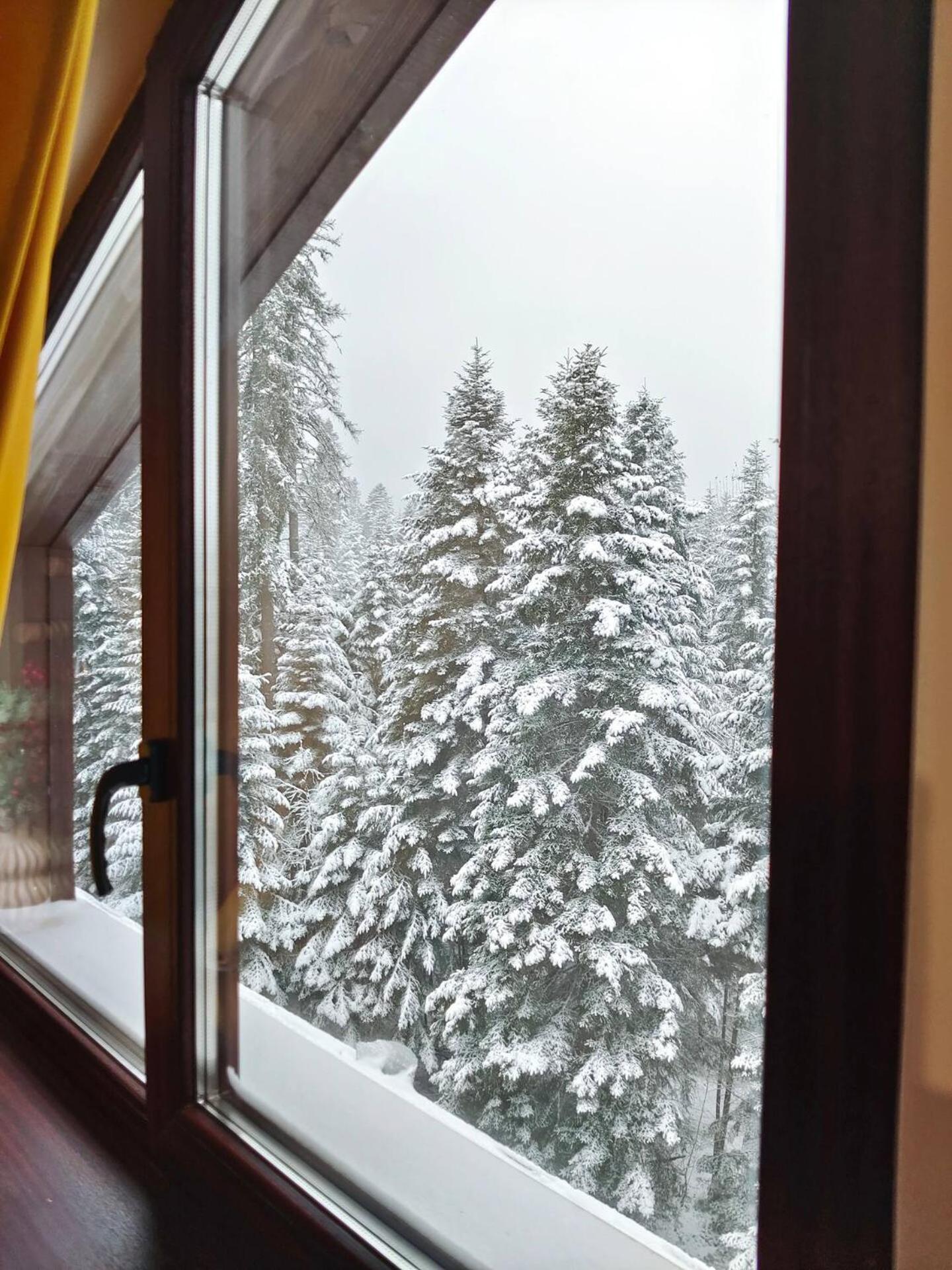 Borovets Dream Studio 외부 사진