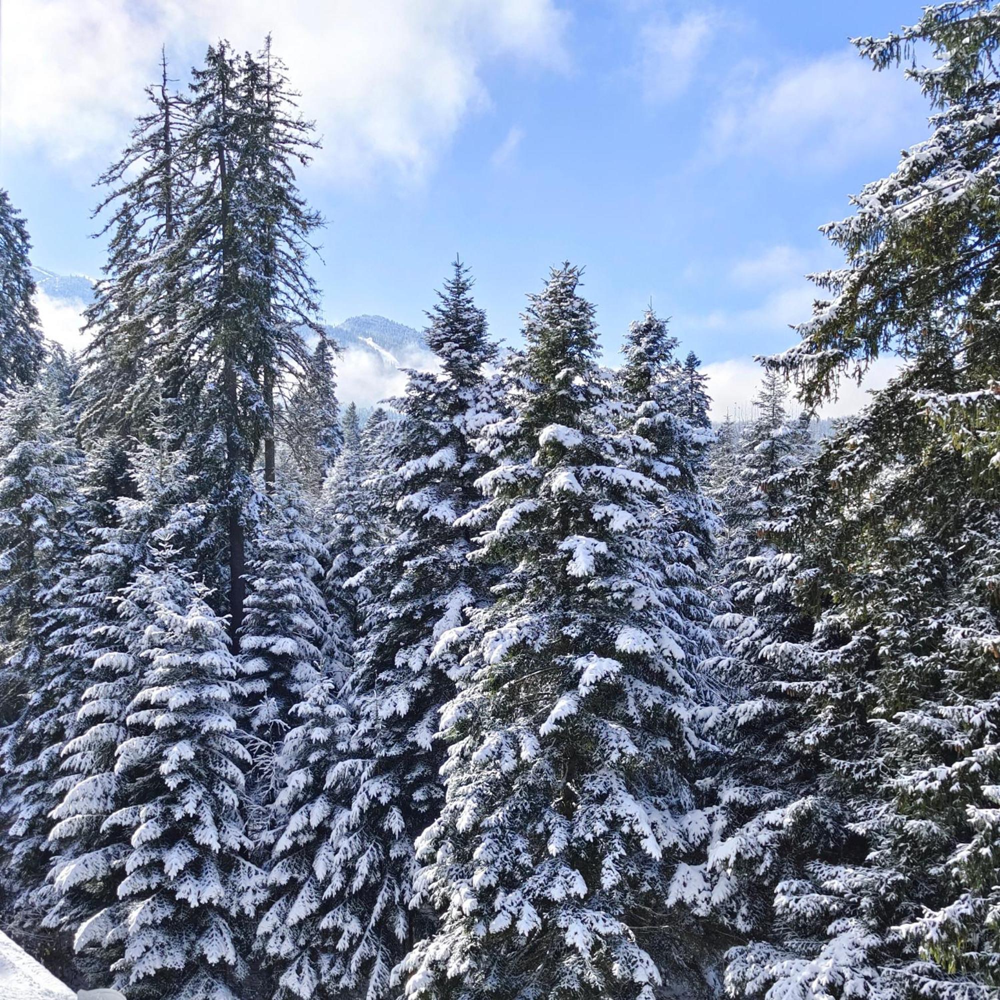 Borovets Dream Studio 외부 사진