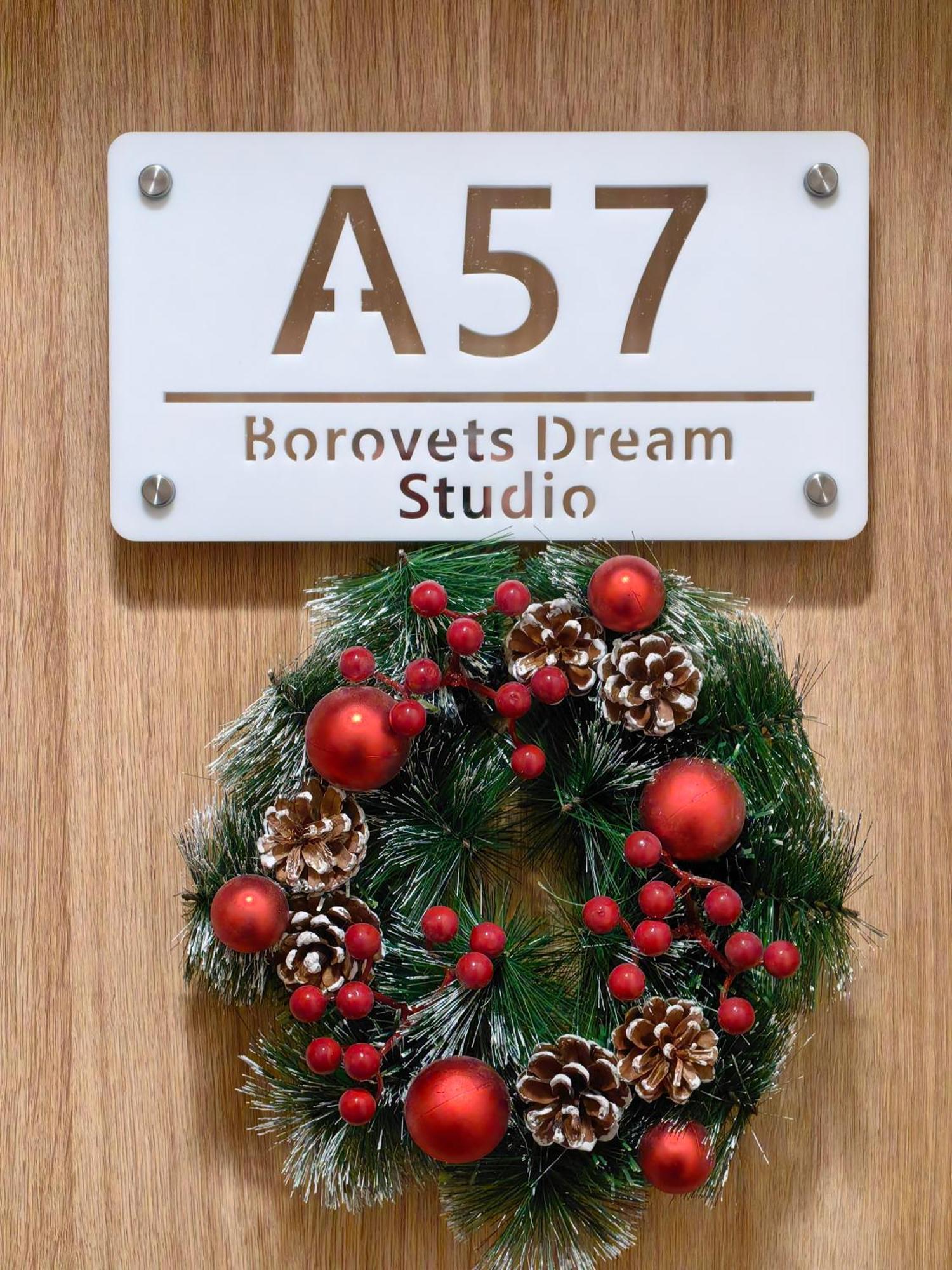 Borovets Dream Studio 외부 사진